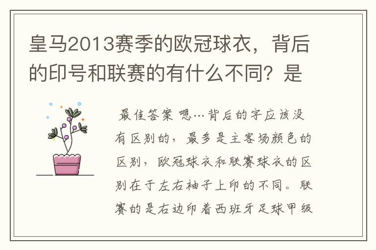 皇马2013赛季的欧冠球衣，背后的印号和联赛的有什么不同？是不是没了那些斜杠？