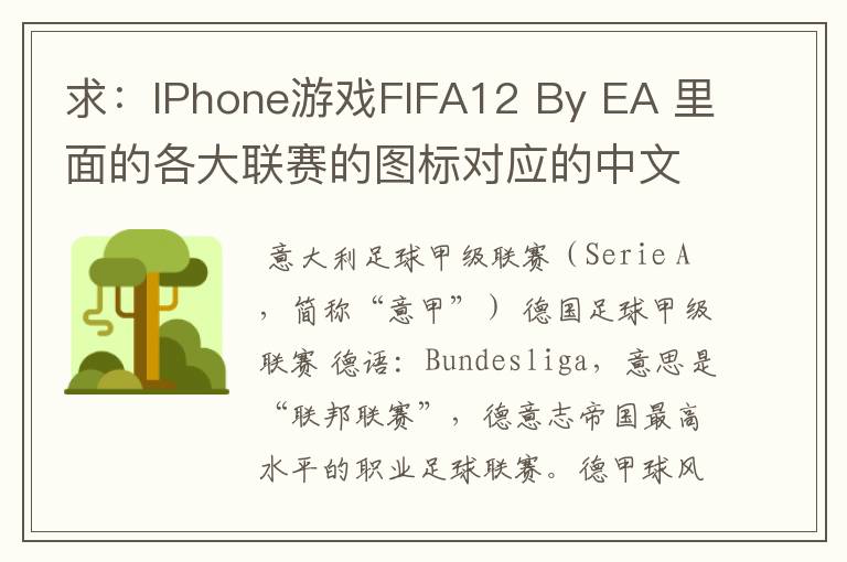 求：IPhone游戏FIFA12 By EA 里面的各大联赛的图标对应的中文名称 例如：Liga BBVA 西甲