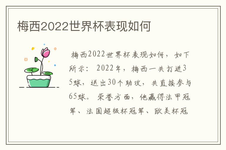 梅西2022世界杯表现如何