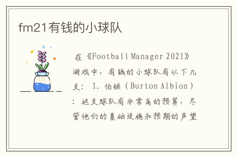 fm21有钱的小球队