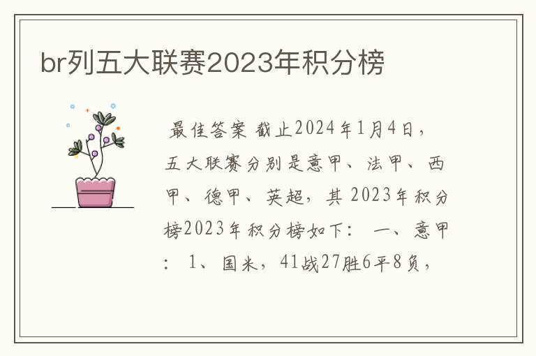 br列五大联赛2023年积分榜