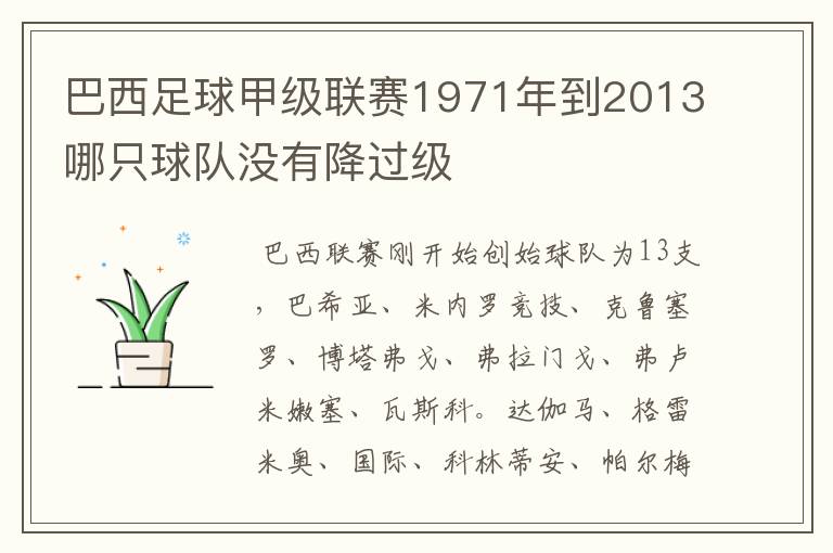 巴西足球甲级联赛1971年到2013哪只球队没有降过级