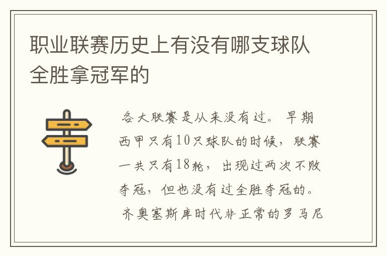 职业联赛历史上有没有哪支球队全胜拿冠军的