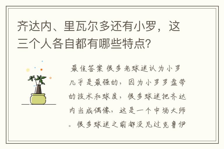 齐达内、里瓦尔多还有小罗，这三个人各自都有哪些特点？