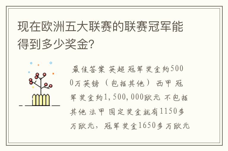 现在欧洲五大联赛的联赛冠军能得到多少奖金？