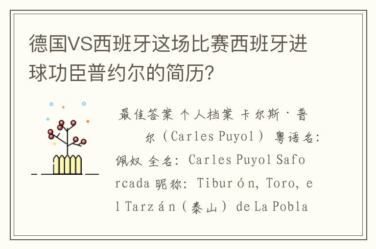 德国VS西班牙这场比赛西班牙进球功臣普约尔的简历？