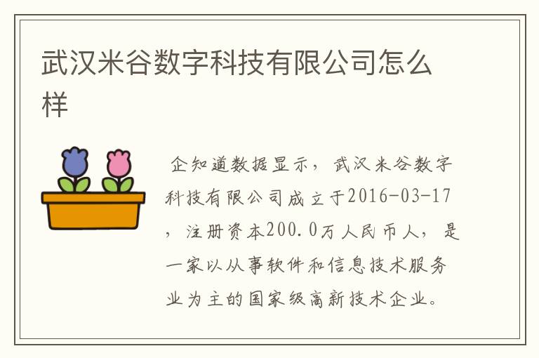 武汉米谷数字科技有限公司怎么样