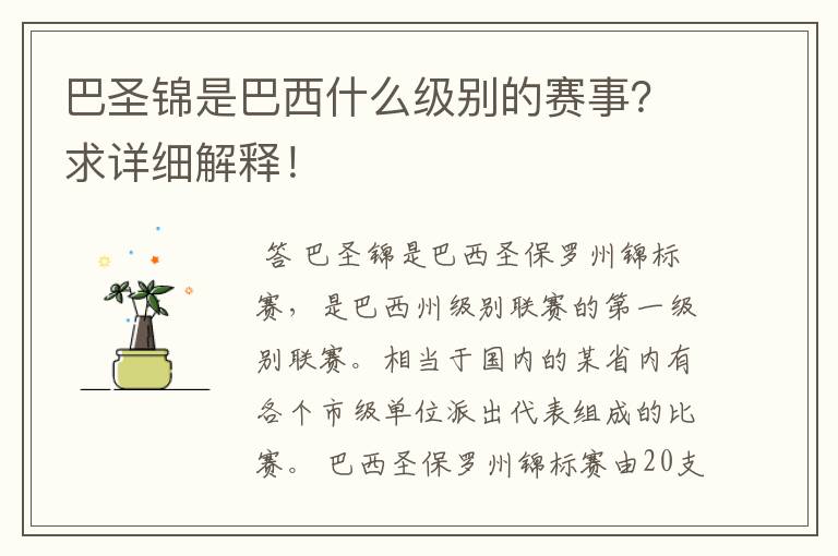 巴圣锦是巴西什么级别的赛事？求详细解释！