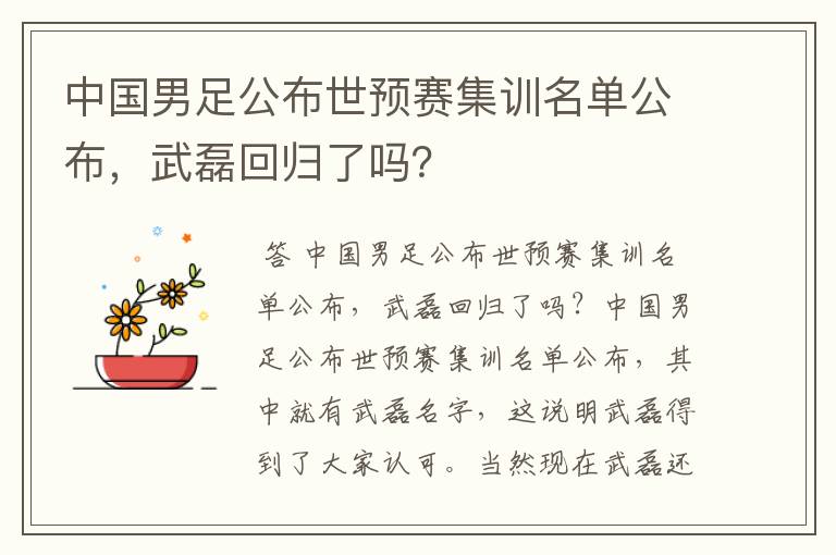 中国男足公布世预赛集训名单公布，武磊回归了吗？