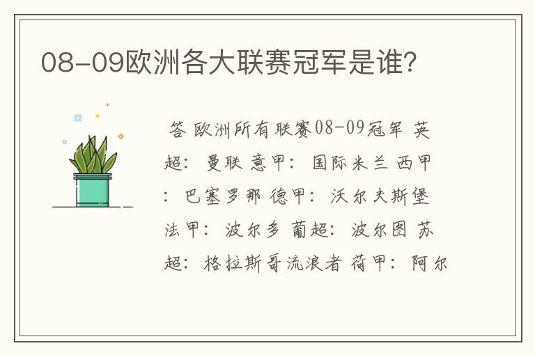 08-09欧洲各大联赛冠军是谁？