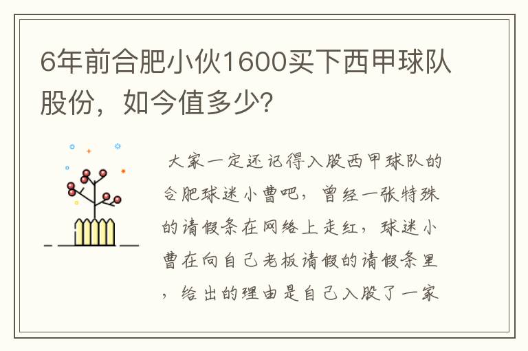 6年前合肥小伙1600买下西甲球队股份，如今值多少？