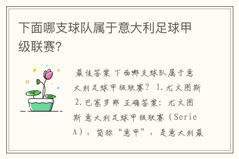 下面哪支球队属于意大利足球甲级联赛？