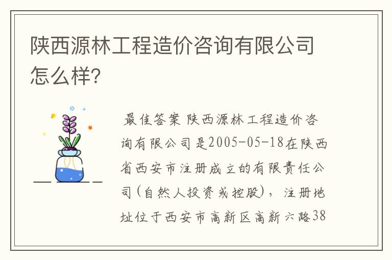 陕西源林工程造价咨询有限公司怎么样？