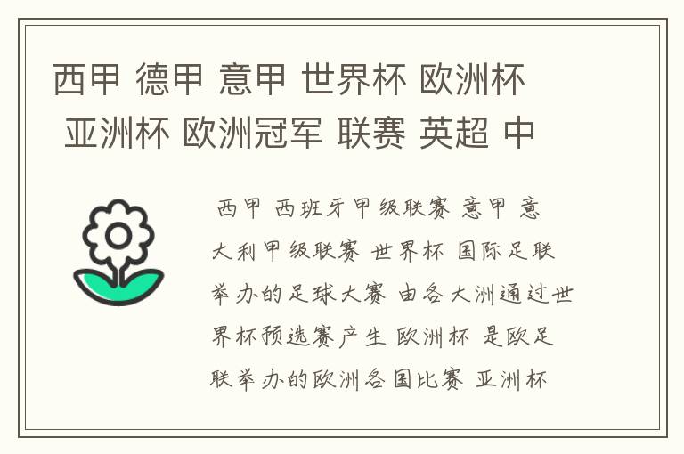 西甲 德甲 意甲 世界杯 欧洲杯 亚洲杯 欧洲冠军 联赛 英超 中超  分别是什么意思啊？