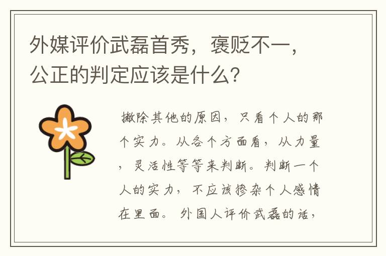 外媒评价武磊首秀，褒贬不一，公正的判定应该是什么？