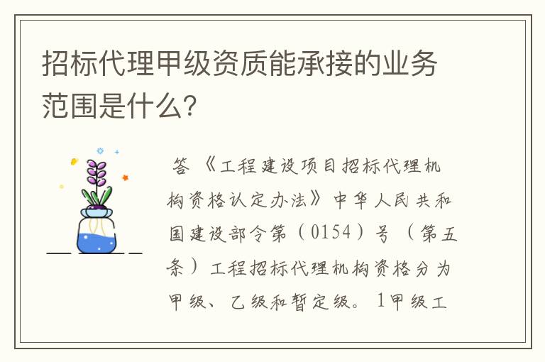 招标代理甲级资质能承接的业务范围是什么？