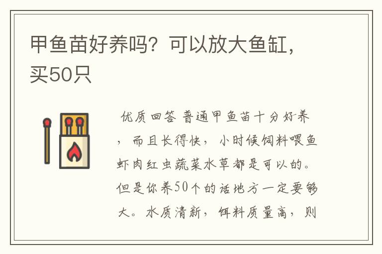 甲鱼苗好养吗？可以放大鱼缸，买50只