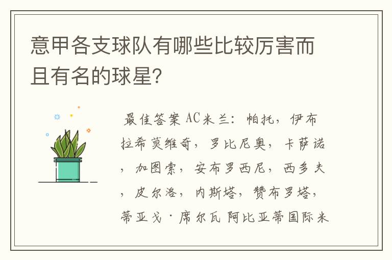 意甲各支球队有哪些比较厉害而且有名的球星？