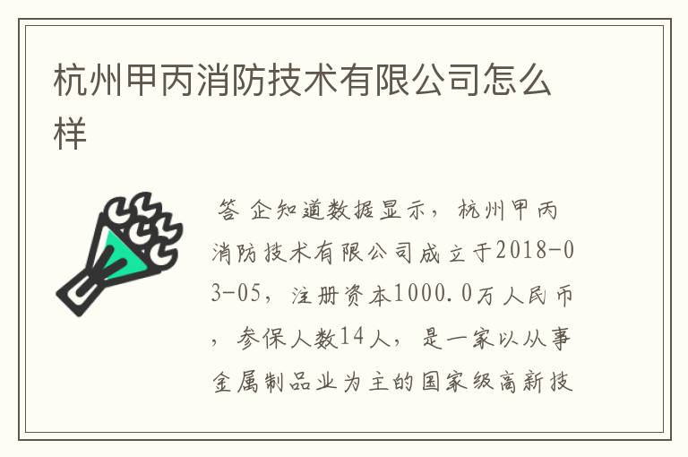 杭州甲丙消防技术有限公司怎么样