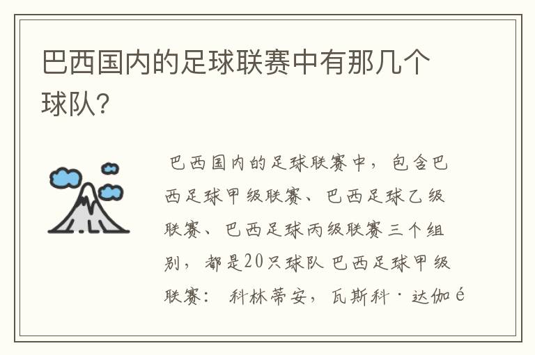 巴西国内的足球联赛中有那几个球队？