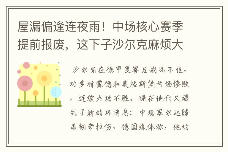 屋漏偏逢连夜雨！中场核心赛季提前报废，这下子沙尔克麻烦大了