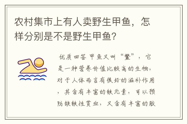 农村集市上有人卖野生甲鱼，怎样分别是不是野生甲鱼？