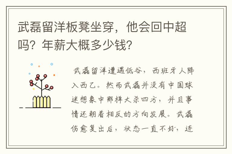 武磊留洋板凳坐穿，他会回中超吗？年薪大概多少钱？