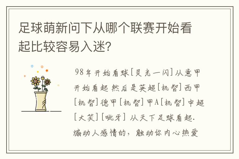 足球萌新问下从哪个联赛开始看起比较容易入迷？