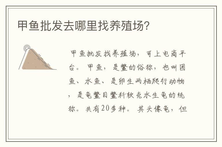 甲鱼批发去哪里找养殖场？