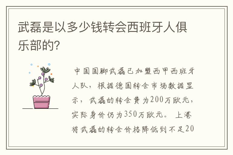 武磊是以多少钱转会西班牙人俱乐部的？