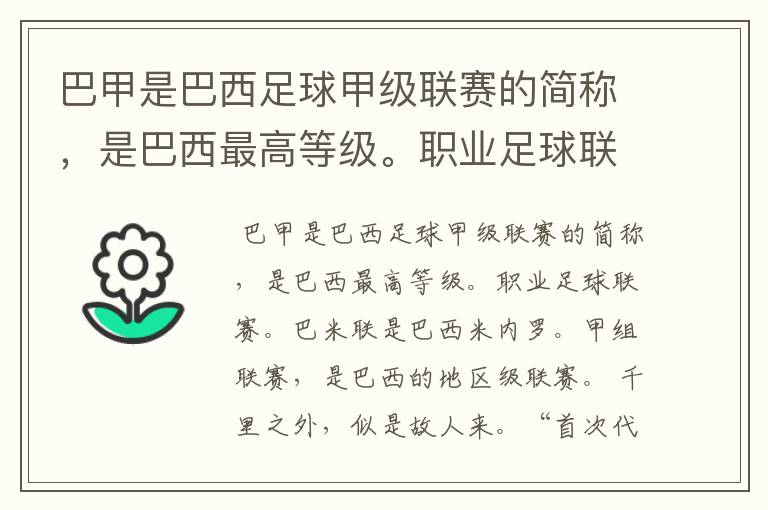 巴甲是巴西足球甲级联赛的简称，是巴西最高等级。职业足球联赛。巴米联是巴西米内罗。甲组联赛。