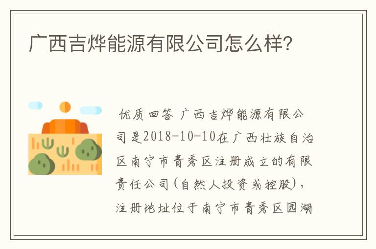 广西吉烨能源有限公司怎么样？