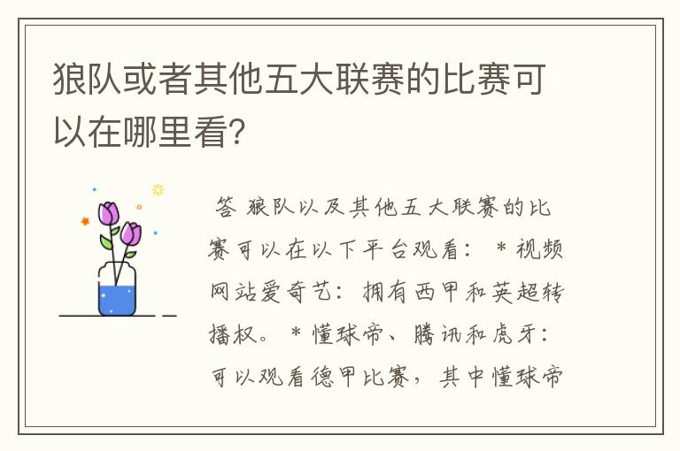 狼队或者其他五大联赛的比赛可以在哪里看？