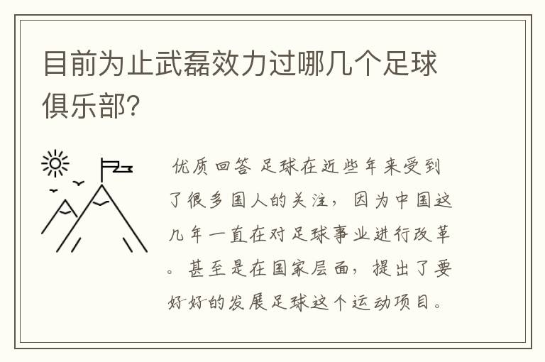 目前为止武磊效力过哪几个足球俱乐部？