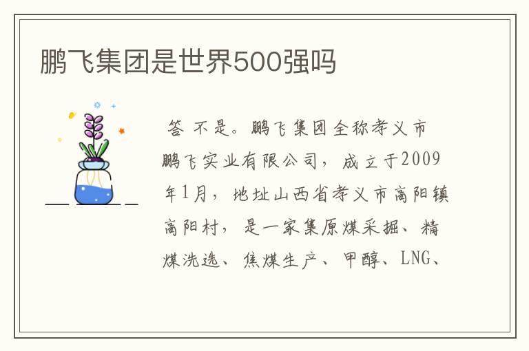 鹏飞集团是世界500强吗