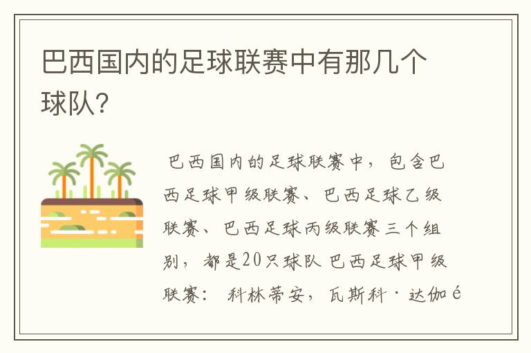 巴西国内的足球联赛中有那几个球队？