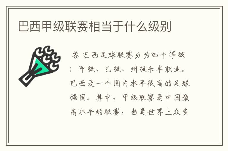 巴西甲级联赛相当于什么级别