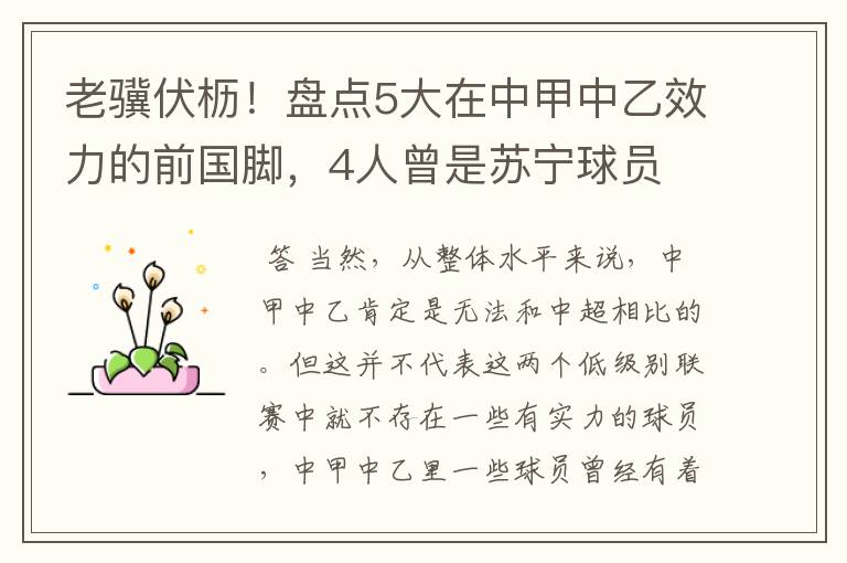 老骥伏枥！盘点5大在中甲中乙效力的前国脚，4人曾是苏宁球员