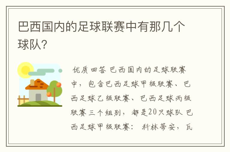 巴西国内的足球联赛中有那几个球队？