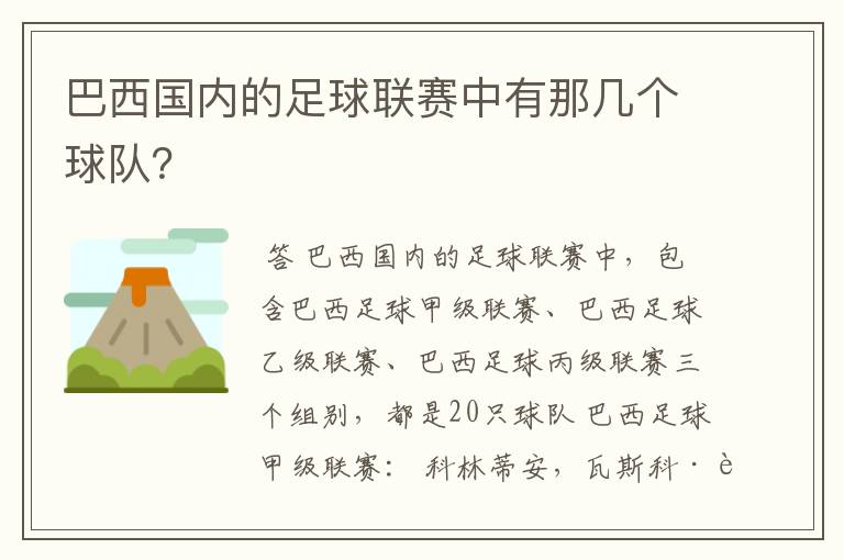 巴西国内的足球联赛中有那几个球队？