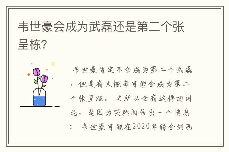 韦世豪会成为武磊还是第二个张呈栋？