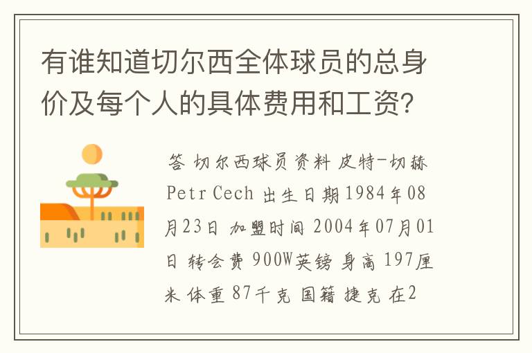 有谁知道切尔西全体球员的总身价及每个人的具体费用和工资？