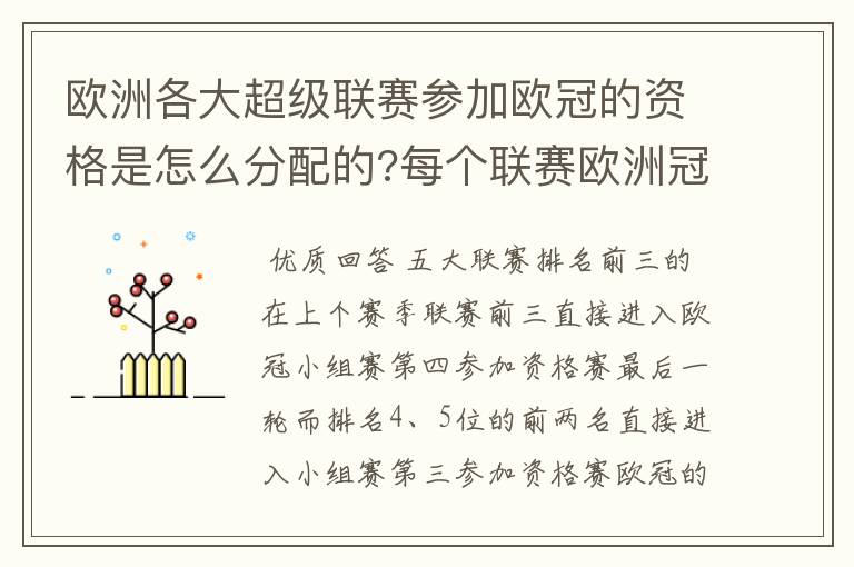 欧洲各大超级联赛参加欧冠的资格是怎么分配的?每个联赛欧洲冠军杯参赛队