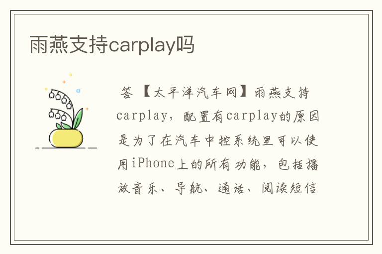 雨燕支持carplay吗