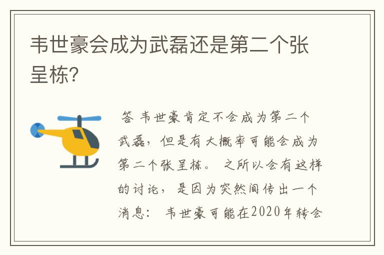 韦世豪会成为武磊还是第二个张呈栋？