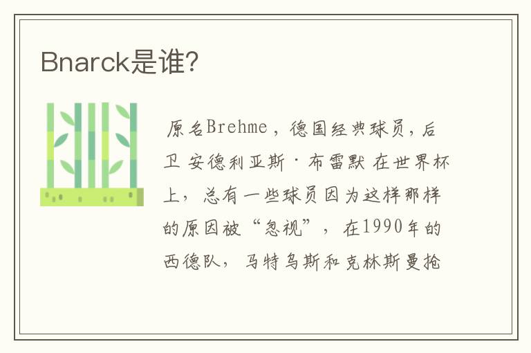 Bnarck是谁？