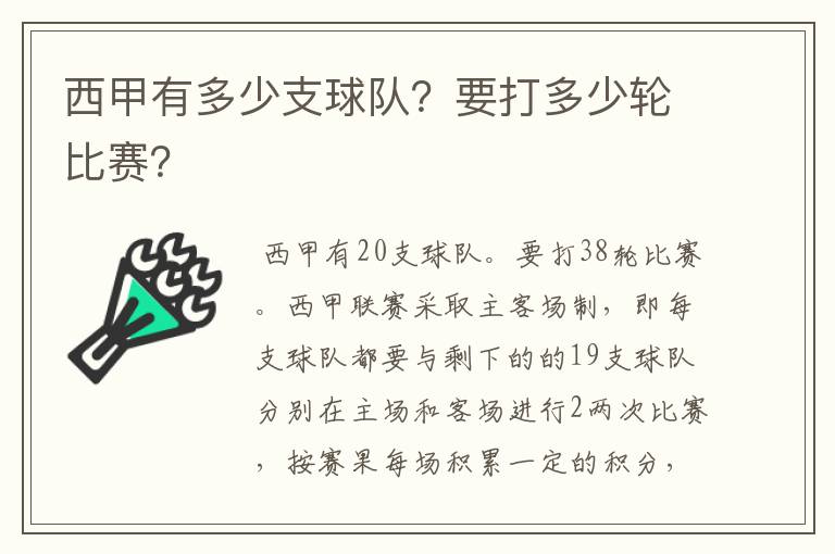 西甲有多少支球队？要打多少轮比赛？