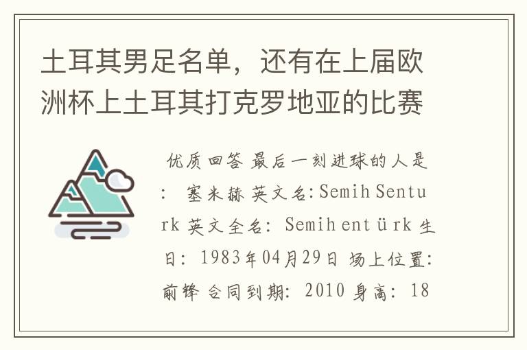 土耳其男足名单，还有在上届欧洲杯上土耳其打克罗地亚的比赛，到最后一刻进球的人是谁？