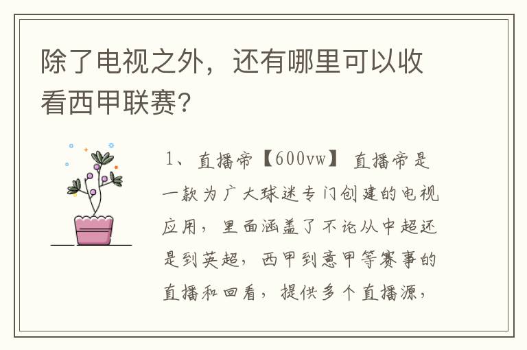 除了电视之外，还有哪里可以收看西甲联赛?