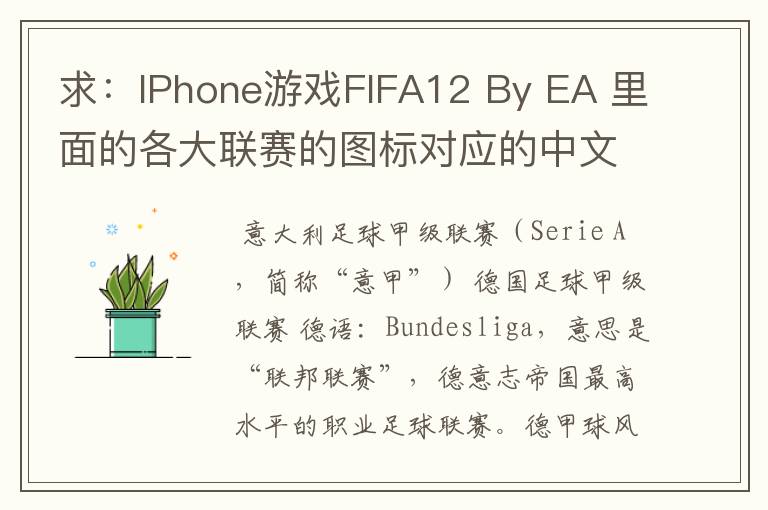 求：IPhone游戏FIFA12 By EA 里面的各大联赛的图标对应的中文名称 例如：Liga BBVA 西甲